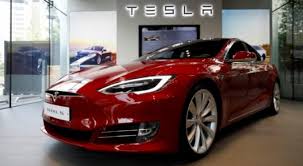 Tesla’nın Avrupa’daki ilk fabrikasına yargı engeli